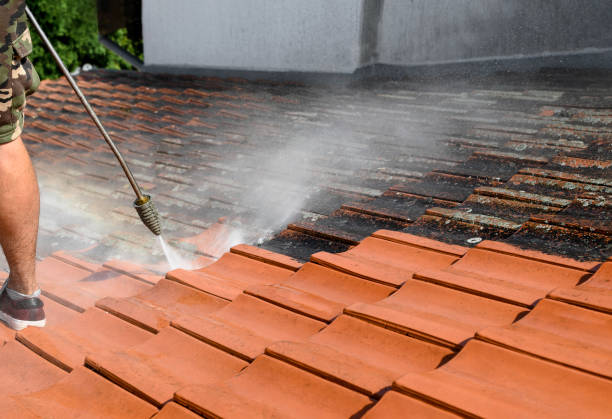 Best Roof Pressure Washing  in Baltic, CT